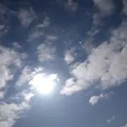 名前無しさん