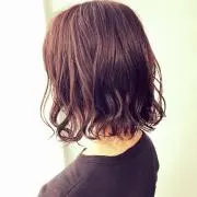 アミの画像
