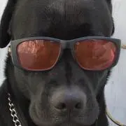 ヒロミの画像
