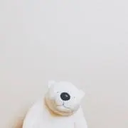 rの画像