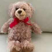 juneberryの画像