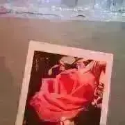 ミリの画像