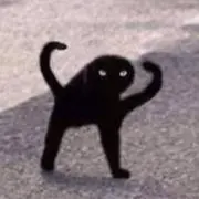 ねこの画像