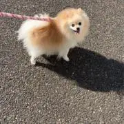 あべの画像
