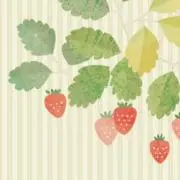 rainの画像