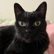 じじの画像
