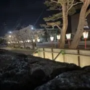 A.ふじさん