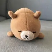 ハルカリ(プロフ確認お願いします)の画像