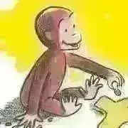 momo21の画像