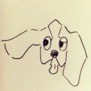 nupiko8/7〜23発送できませんの画像