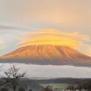 Toku☆の画像
