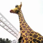 vかにかまvの画像