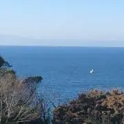 さやかの画像