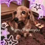 ❤️RAMU❤️プロフ読んで下さいね。の画像
