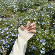 ねぇの画像