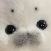 むぎちゃ·͜·♡の画像
