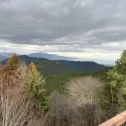 まらまらの画像
