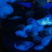 サタン