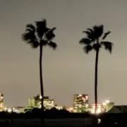 rrrの画像