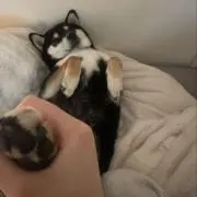 えみ