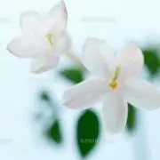 み