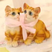未来★しほ〜éclat fleur〜の画像