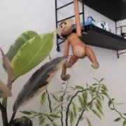 towatowaの画像