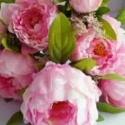 peony