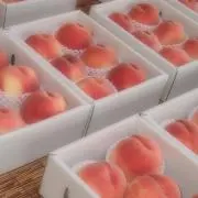 ももやのきよしの画像