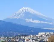 とくちゃんねるの画像