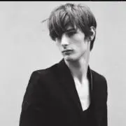 Michelの画像