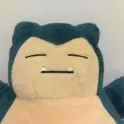 もーの画像