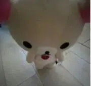 りんの画像