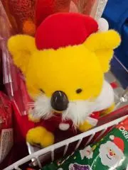 せあら