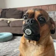 サマー