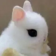 ぷみまる親方