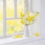 Maururu♫即購入ＯＫ! 割引あり♡の画像