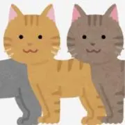 ぽんたの画像