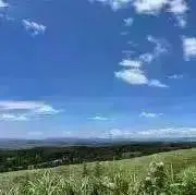 aoi＊＊の画像