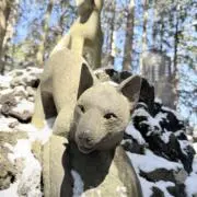Meatの画像