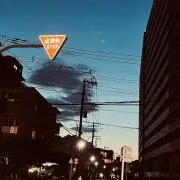 noaの画像