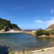 りんぱぱ/まま