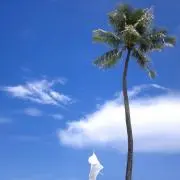 fortunate ⌘プロフィール必読⌘の画像