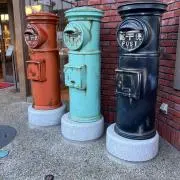 まのの画像