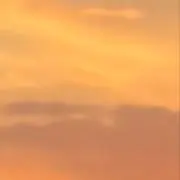 古着nsuuの画像