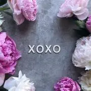 xoxo..®まとめ買い割引㈲の画像