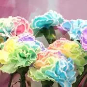 まき
