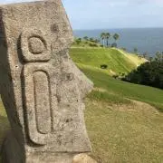 パーゴの画像
