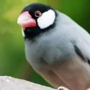 ta-shiの画像
