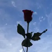 00
